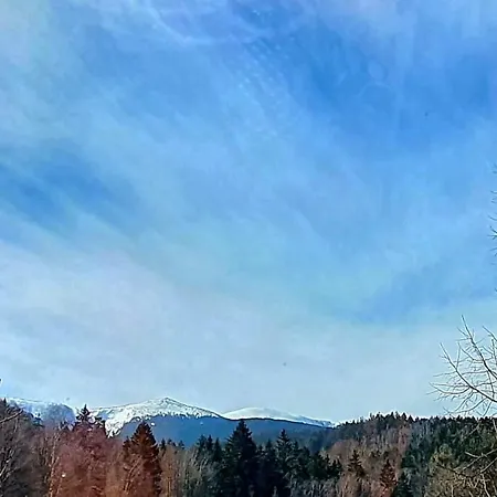 Pod Lipami Гостевой дом 3*