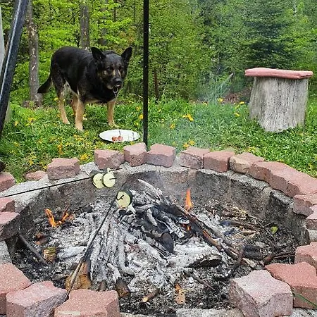 Pod Lipami Гостевой дом