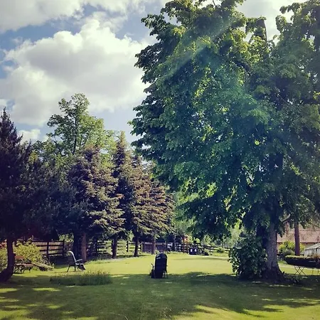 Pod Lipami Guest house Jagniatkow