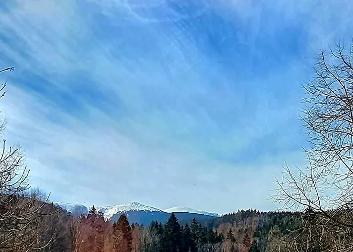 Pod Lipami Гостевой дом 3*